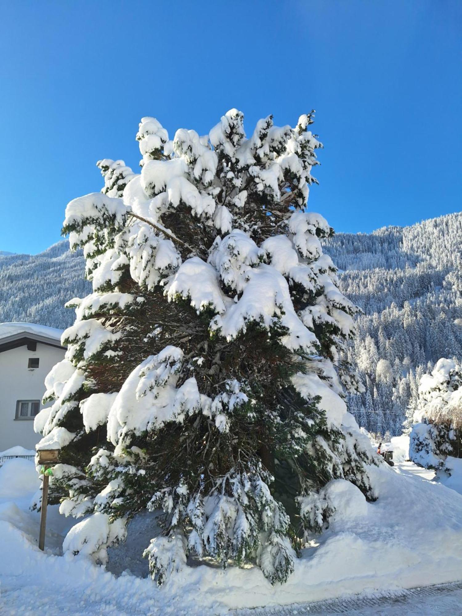 Ferienwohnungen Pollhammer Sankt Gallenkirch Exterior photo